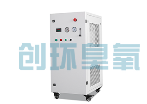 淮安石斑鱼养殖水质调控完整指南：臭氧发生器配置与操作步骤
