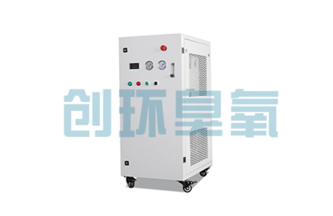 淮安比传统换水更高效？臭氧发生器在石斑鱼养殖中的水质净化原理解析