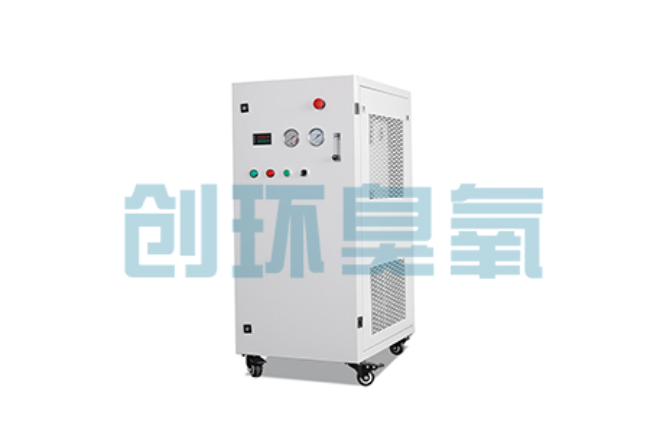 淮安比传统换水更高效？臭氧发生器在石斑鱼养殖中的水质净化原理解析